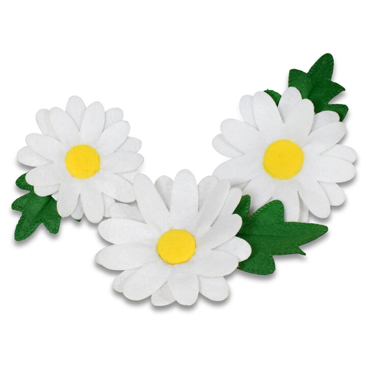 261724 Set of Daisy Blossoms