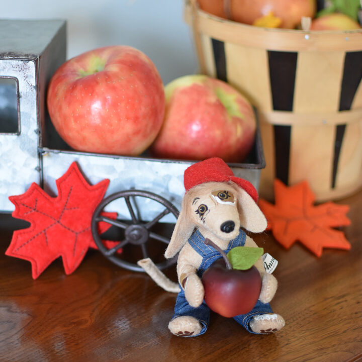 360624 4in Apple Harvest Pup-WEB